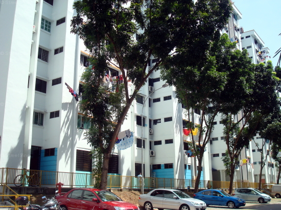 Woodlands Street 13 thumbnail photo